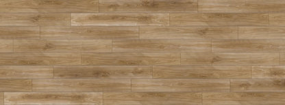 Silver Elm