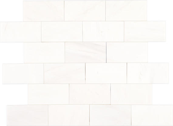 Marble Contempo White Rectangle 12X24 Polished