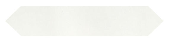 Marble Empyrean Ice Rectangle 12X24 Polished