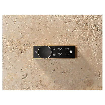 Wall Mount Digital Control, Vibrant Brushed Nickel