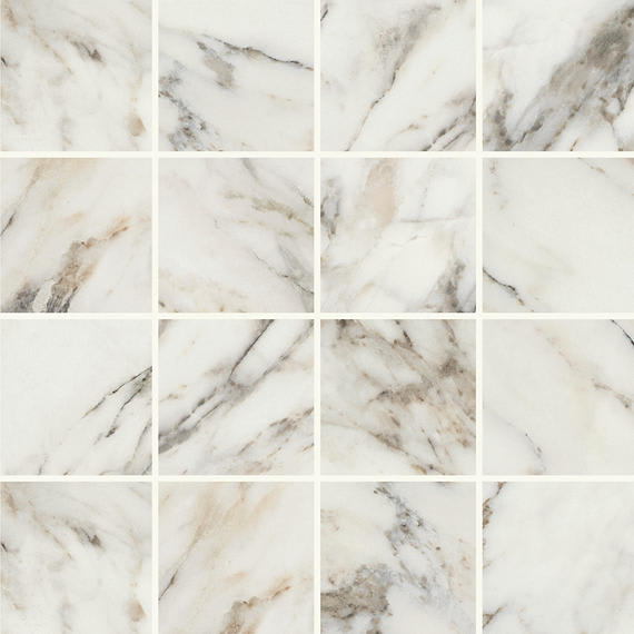 Savoir Cafe Rectangle 24X48 Polished