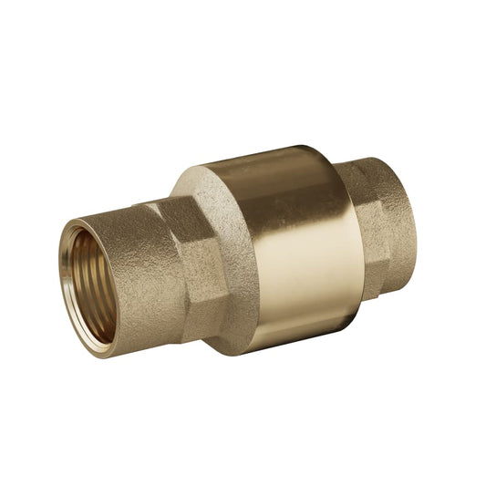 1/2" Spring Check Valve