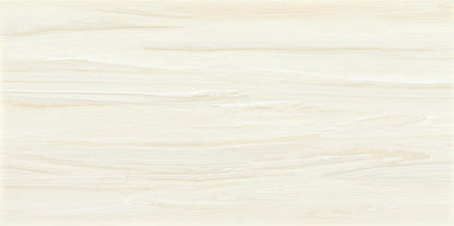 Composition Visionary Gloss Rectangle 12X24 Glossy