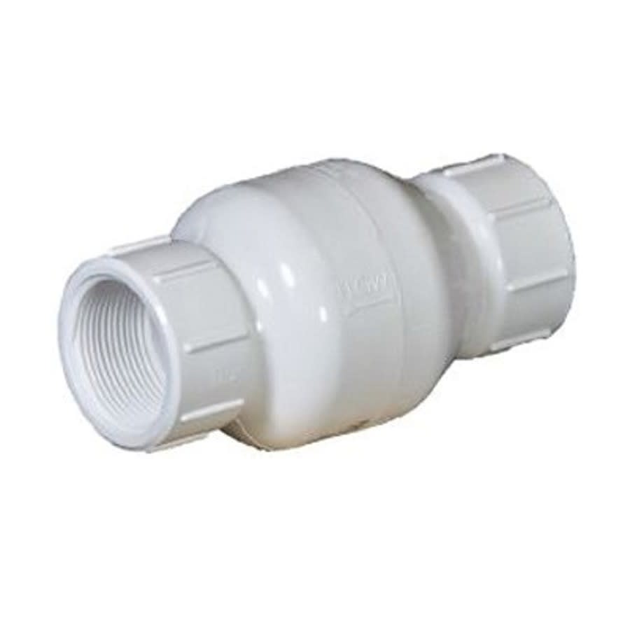 Spring Check Valve, 1 in, FNPT, PVC