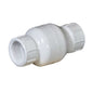 Spring Check Valve, 3/4 in, FNPT, PVC