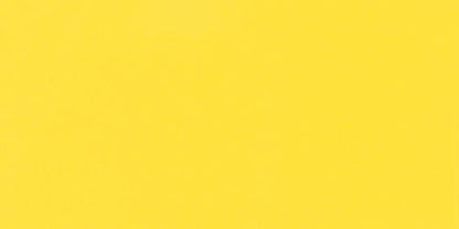 Color Wheel Classic Sunflower Rectangle 3X6 Glossy