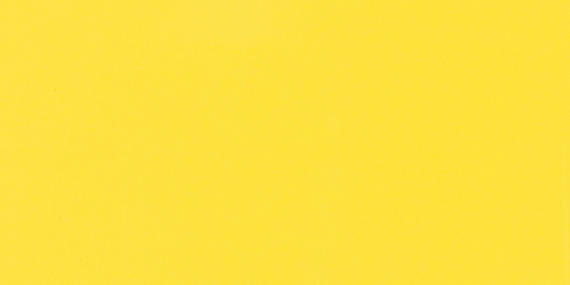 Color Wheel Classic Sunflower Square 4X4 Glossy