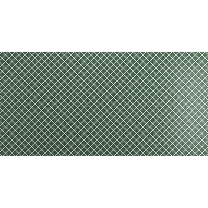 VECTORA GREEN GL 24X47
