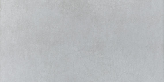 Cohesion Light Grey Rectangle 12X24 Matte