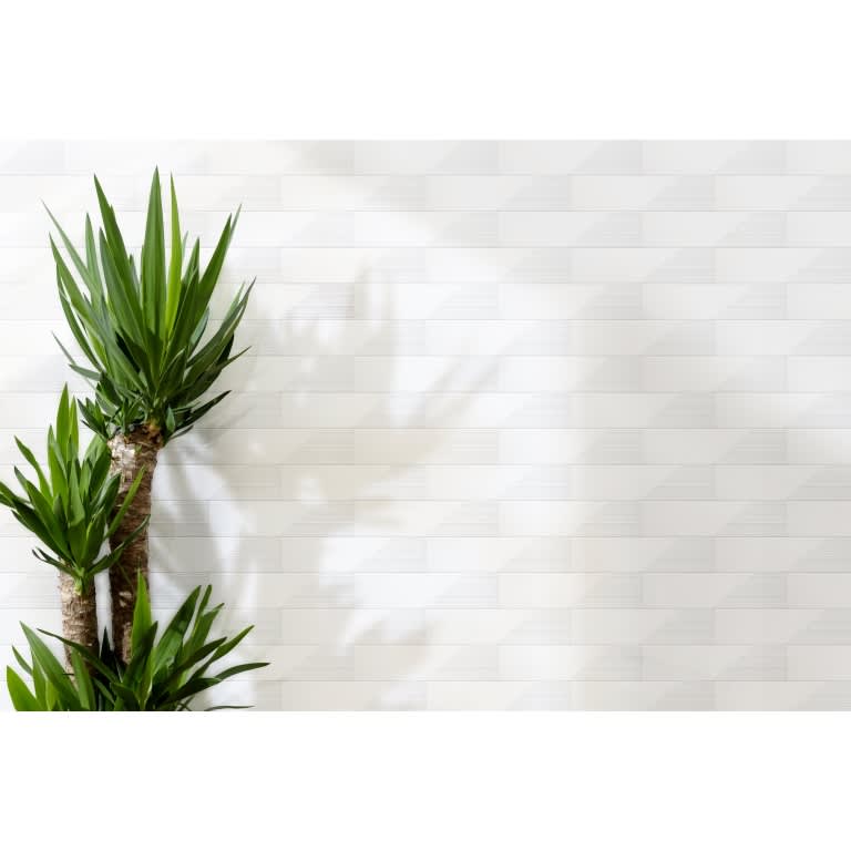 EXPRESS GLARE WHITE 3X12