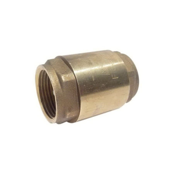 Spring Check Valve, 1/2 in, FNPT, Brass