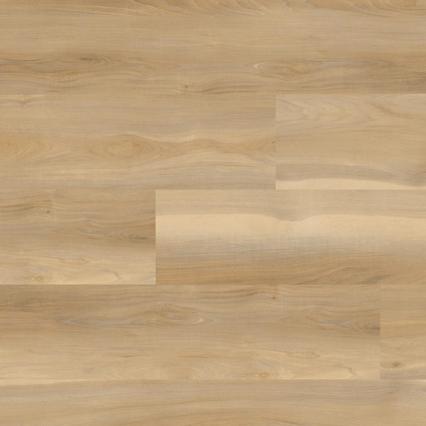 NOVE RESERVE BAYHILL BLONDE 9X48