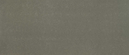 Babylon Gray® - Concrete Finish