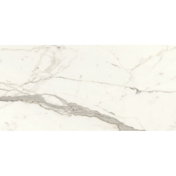 DYNAMIX INTENSA SI PL 24X47 Limited Availability