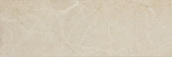 Platinum Almond Rectangle 12X24 Matte