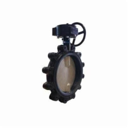 Lug Style Butterfly Valve, Gear Operator, 8 in, Flange, Ductile Iron