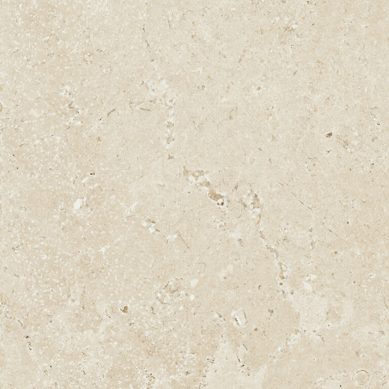 Timeless Ivory