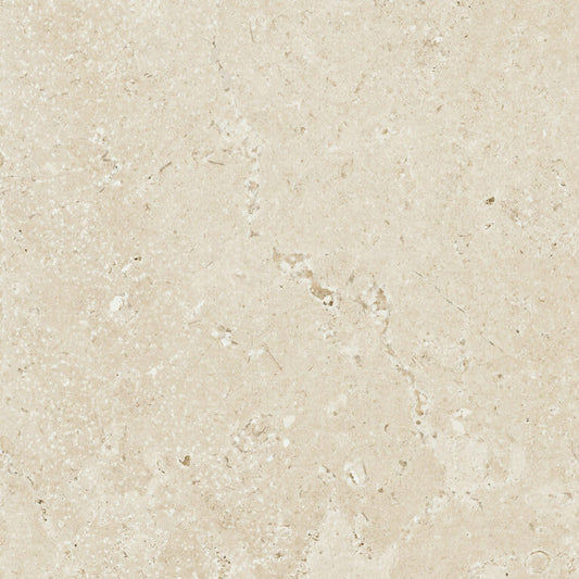 Timeless Ivory