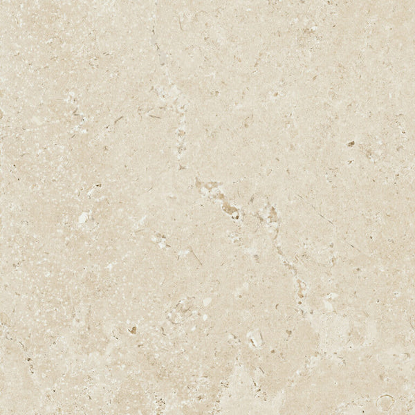 Timeless Ivory