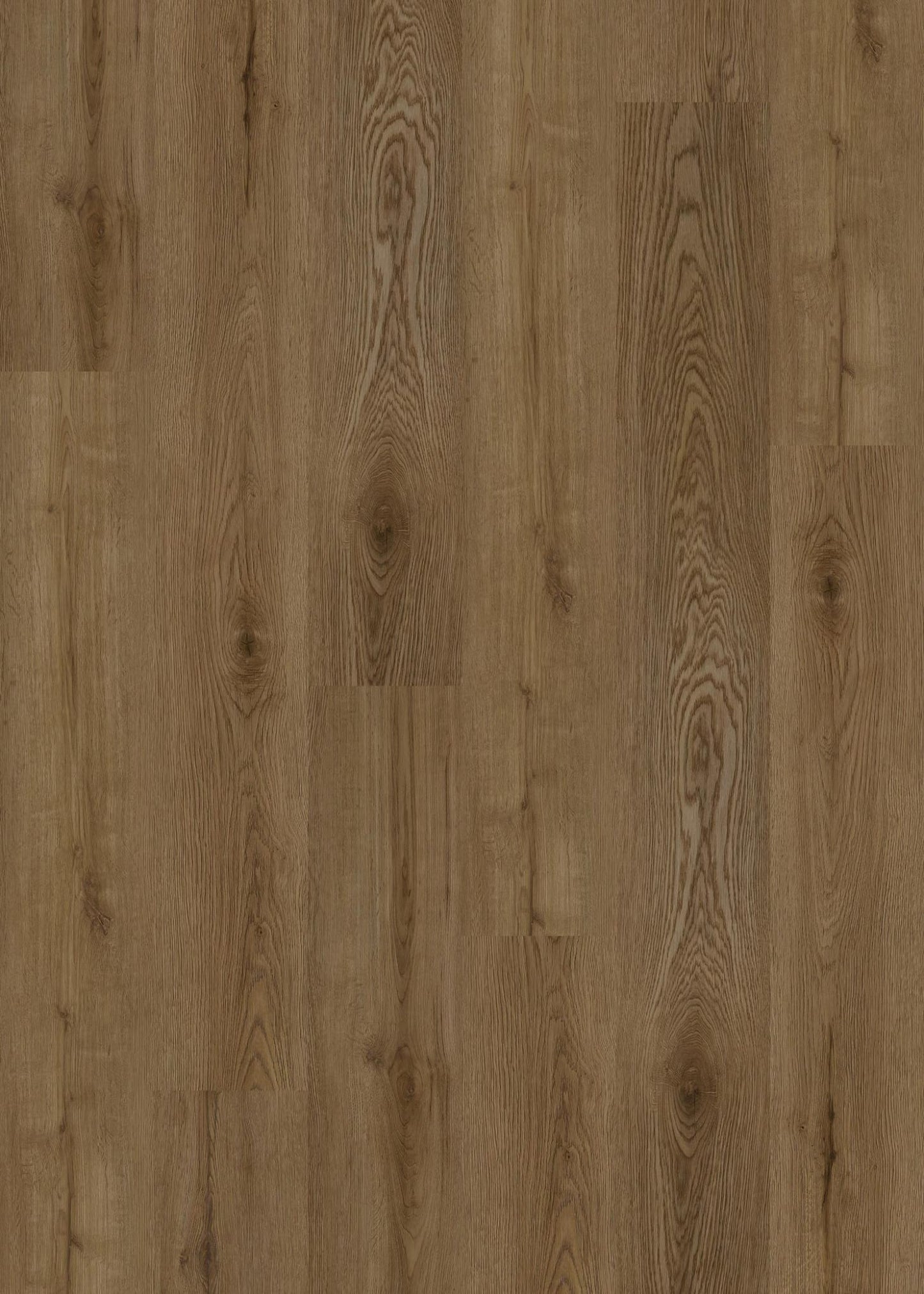 Nestova
