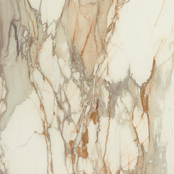 Panoramic Duet Calacatta Topaz Rectangle 12X24 Polished