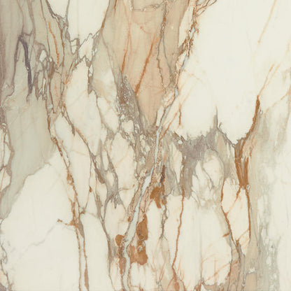 Panoramic Duet Calacatta Topaz Rectangle 12X24 Polished