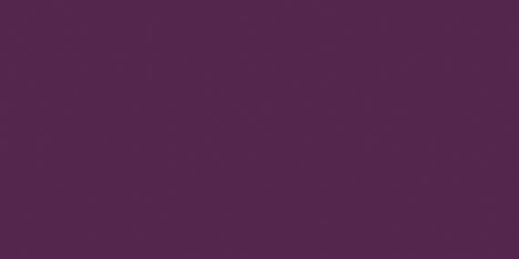 Color Wheel Classic Plum Crazy Square 4X4 Glossy