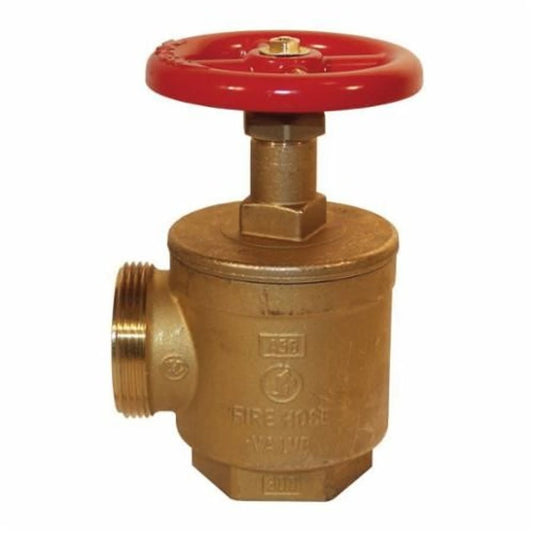 Angle Fire Hose Valve, 2-1/2 in, FNPT x MNST, Brass