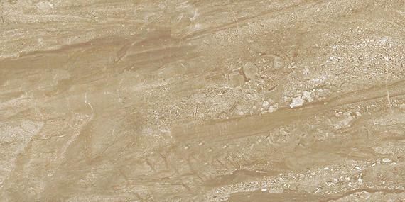 Florentine Nociolla Rectangle 12X24 Glossy