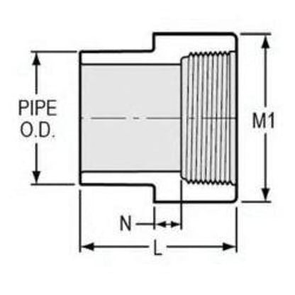 Female Adapter, 1/2 in, Spigot x FNPT, SCH 40/STD, PVC