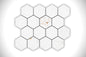 Regal Carrara 3" Hexagon