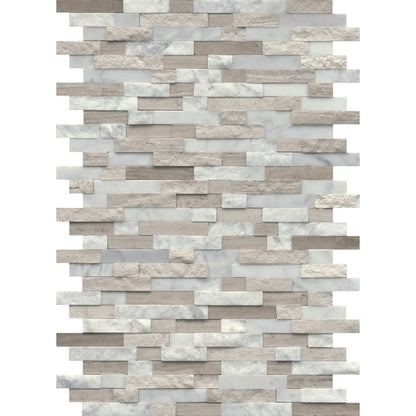FEATURE MULTI LDGR MO/12X18