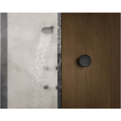 Anthem Digital Shower Controller