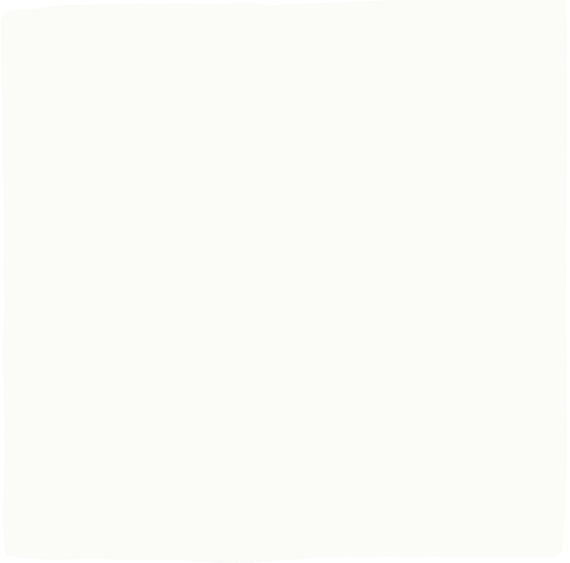 Farrier Cremello Square 5X5 Satin