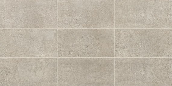 Reminiscent Souvenir Gray Rectangle 12X24 Matte