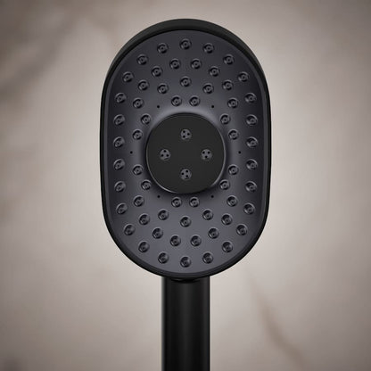 Statement 2.5 GPM Multi Function Hand Shower with MasterClean Sprayface