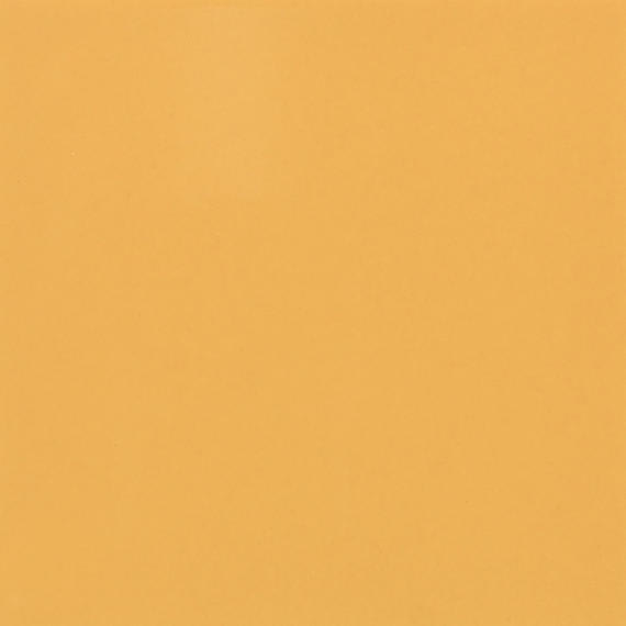 Color Wheel Classic Mustard Square 4X4 Glossy