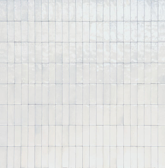Rice Bianco Rectangle 3X8 Glossy