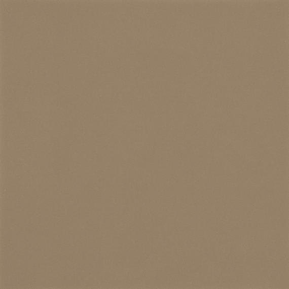 Color Wheel Classic Elemental Tan Rectangle 3X6 Glossy