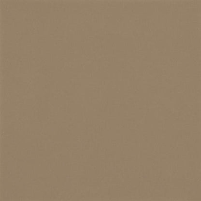 Color Wheel Classic Elemental Tan Square 4X4 Glossy