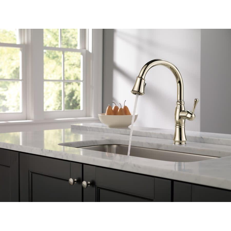 Cassidy Pull-Down Kitchen Faucet with Magnetic Docking Spray Head and ShieldSpray - Includes Lifetime Warranty