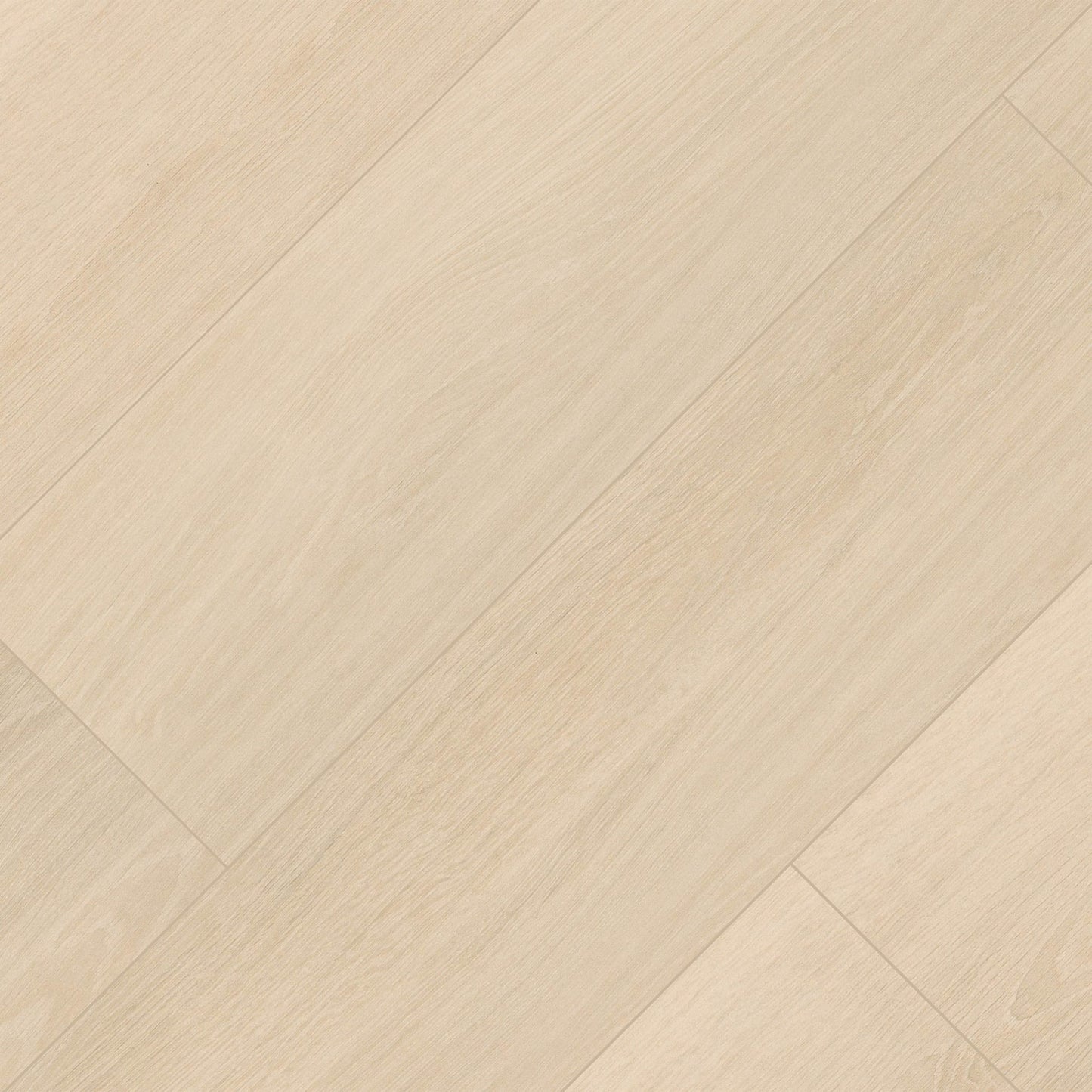 Placero Maple