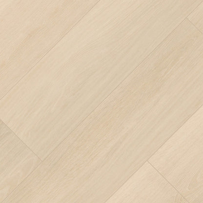 Placero Maple