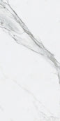 BIANCO VENATINO PO 24X48 R