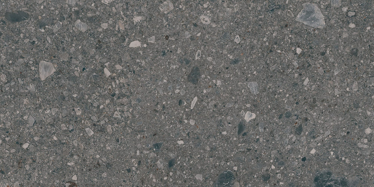 Assemble Emissary Rectangle 12X24 Matte
