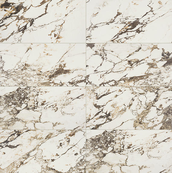 Panoramic Duet Calacatta Aries Square 48X48 Matte
