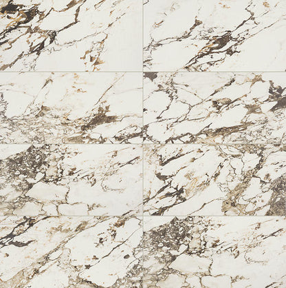 Panoramic Duet Calacatta Aries Square 48X48 Matte