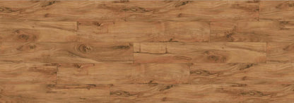 Natural Acacia