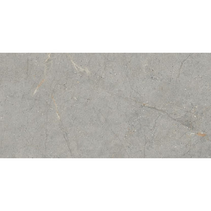 TERRAMOR GRIGIO HN 24X47