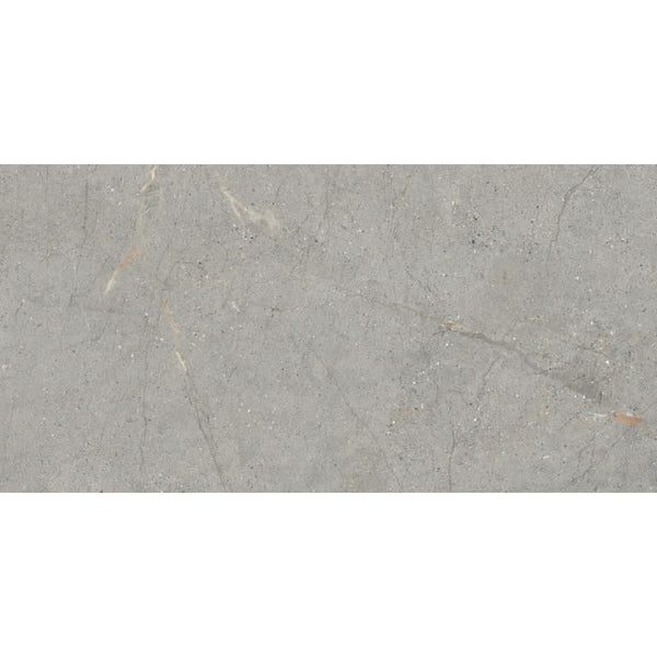 TERRAMOR GRIGIO HN 24X47